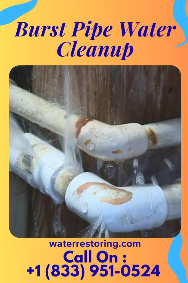 Burst Pipe Water Cleanup in Camargo, OK
