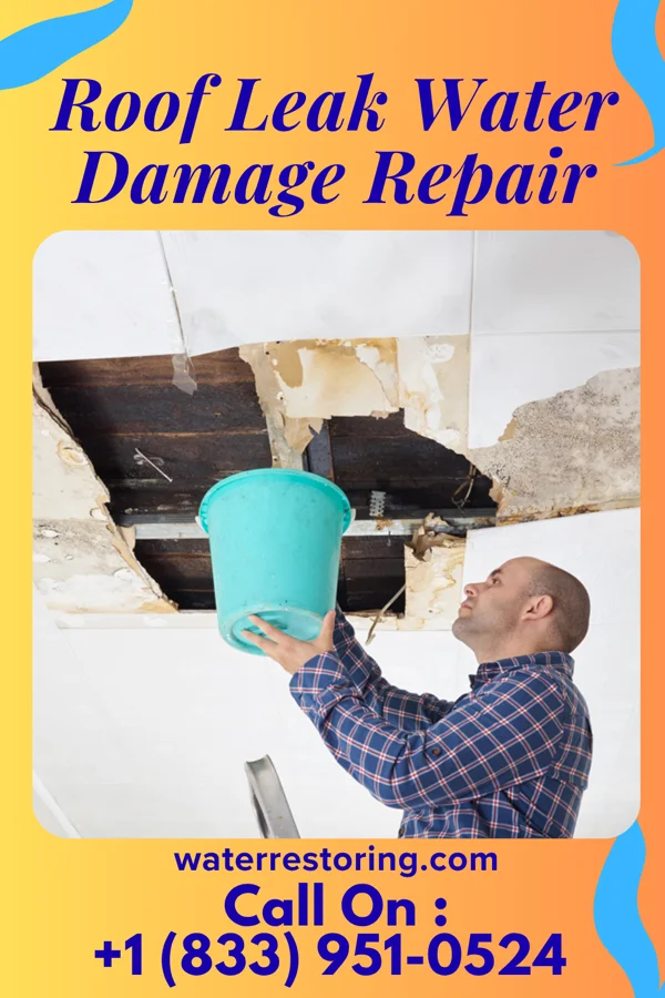 Roof Leak Water Damage Repair in Camargo, OK